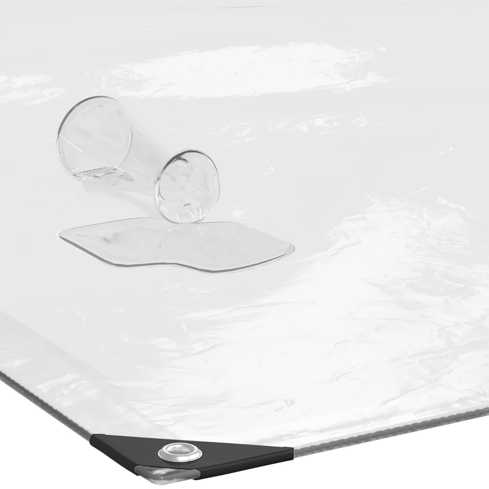 Vidaxl - Couverture pour plantes Transparent 5 x 10 m PE vidaXL 3429286 - Image 9