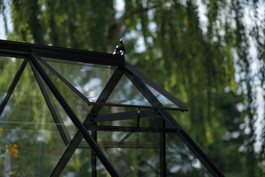 Halls - Serre en verre horticole 3,7 m² ICON 6, noir - Halls - Image 3