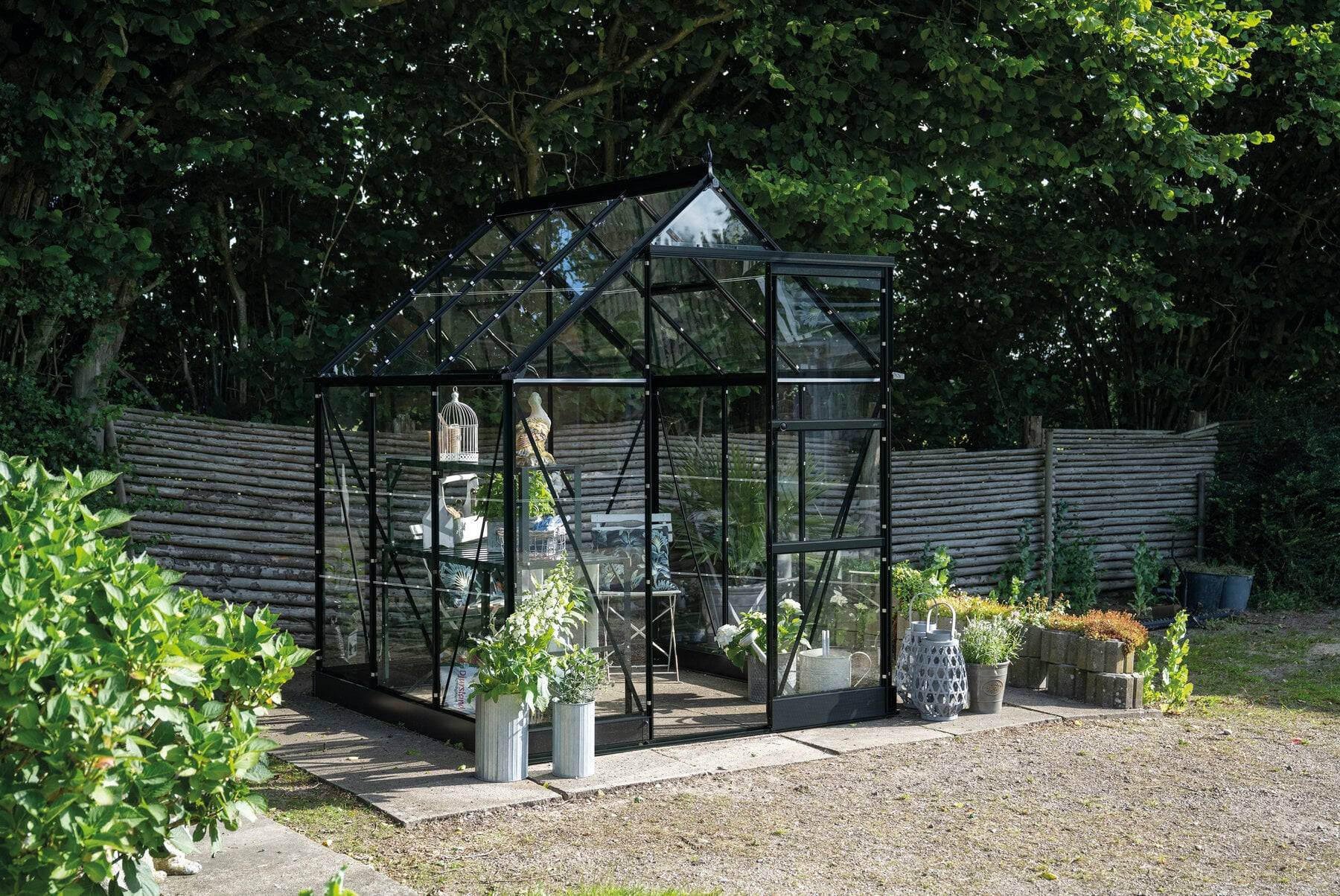 Halls - Serre en verre horticole 3,7 m² ICON 6, noir - Halls