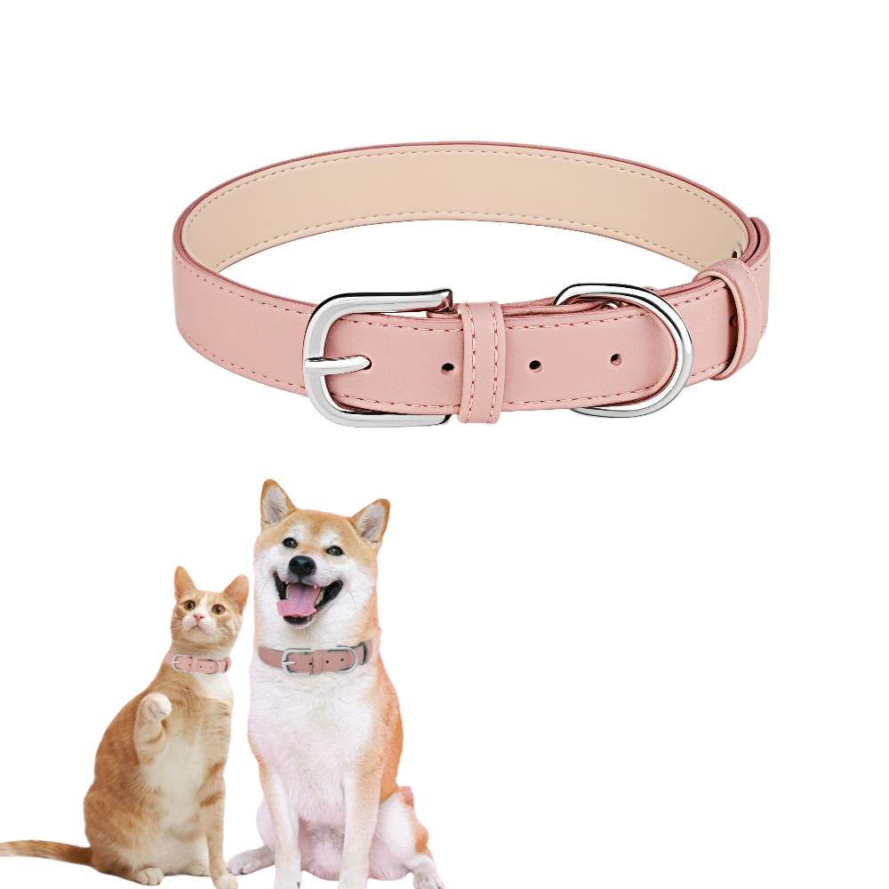 Collier pour chien m - IntiMeg - Image 1