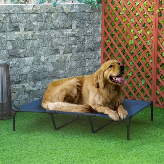 Lit de Camp Chien Métal Surélevé Pliable Couchage Extérieur Voyage Bleu - ComfortXL Outdoor Living - Image 1