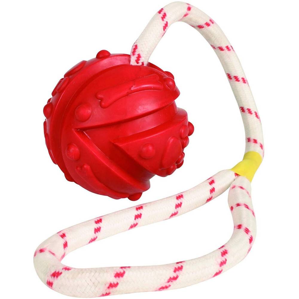 animallparadise - Jeu aquatique Balle sur corde, Dimensions: ø 7 x 35 cm, couleur aléatoire, pour votre chien. - Image 1