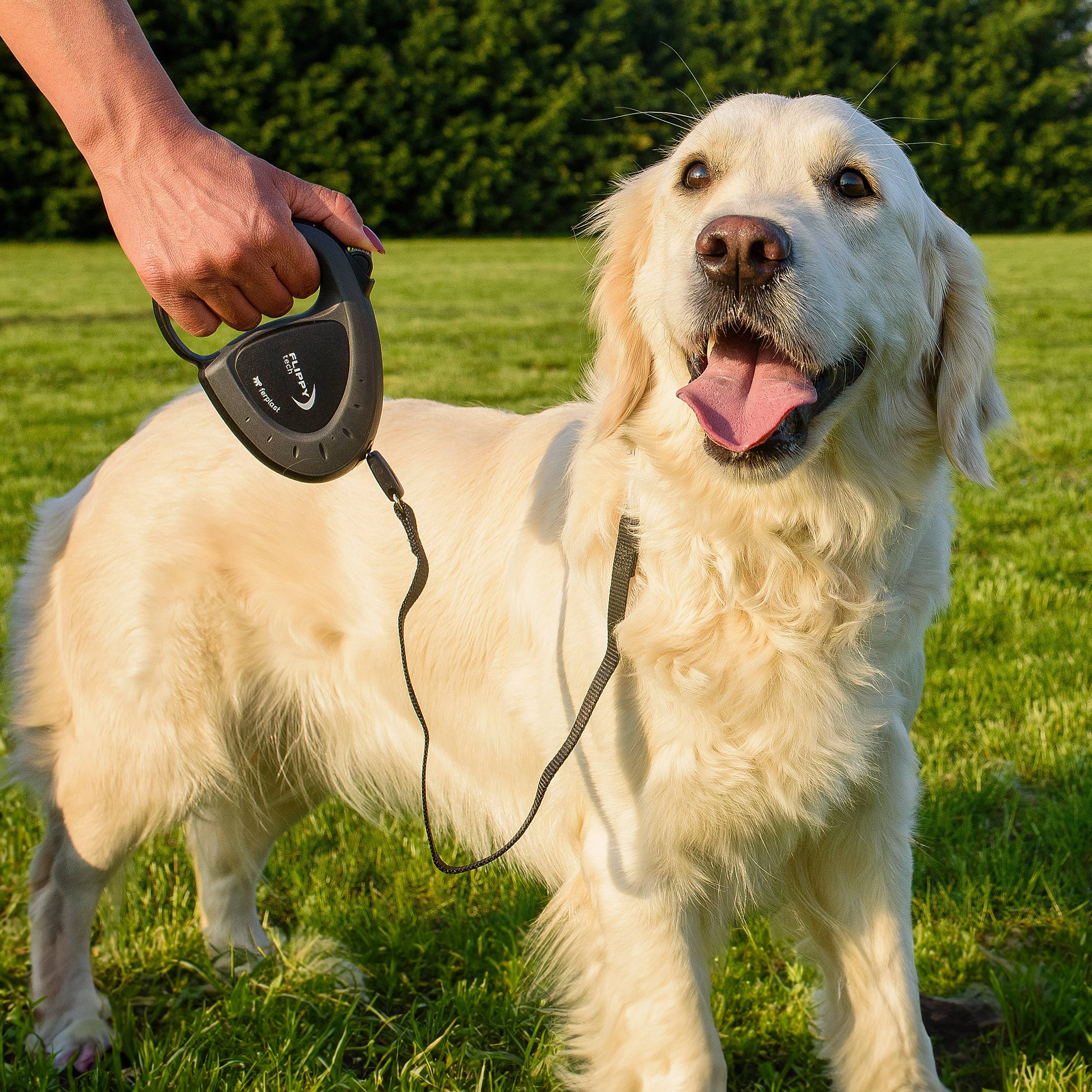 Ferplast - Ferplast Laisse Chien Enrouleur FLIPPY TECH, Laisse Chiens de Taille Moyenne jusqu'à 25 Kg. Sangle Extensible max 3 m. Bouton de verrouillage et de - Image 4