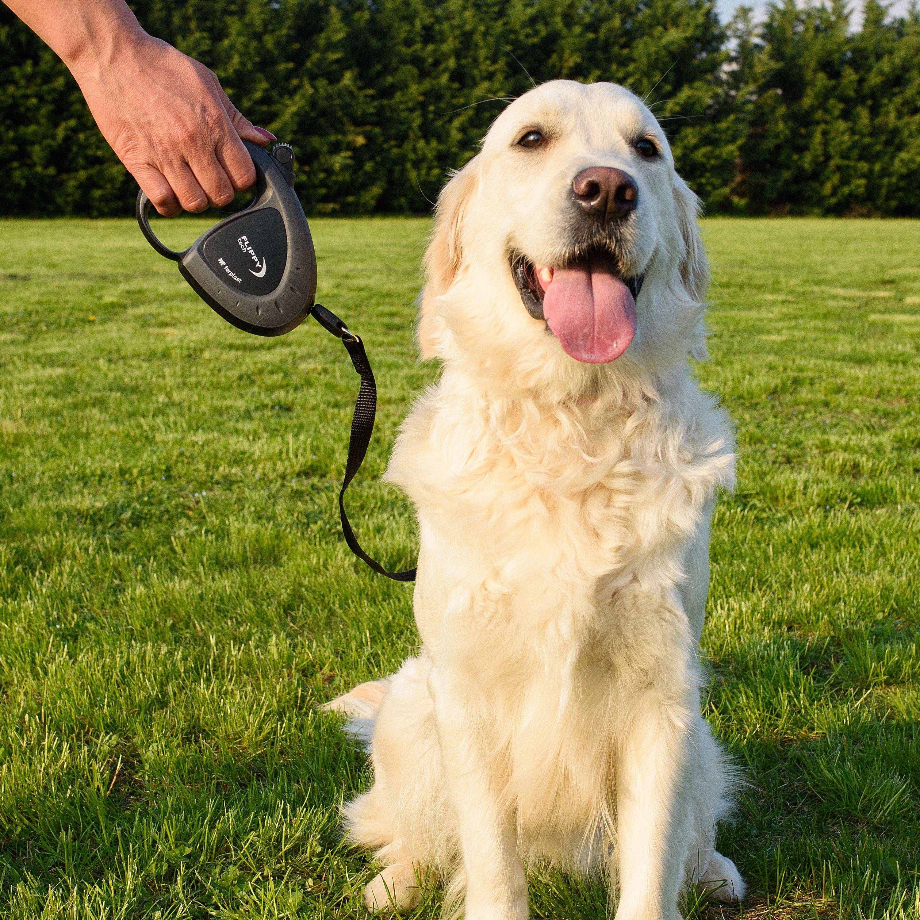 Ferplast - Ferplast Laisse Chien Enrouleur FLIPPY TECH, Laisse Chiens de Taille Moyenne jusqu'à 25 Kg. Sangle Extensible max 3 m. Bouton de verrouillage et de - Image 3