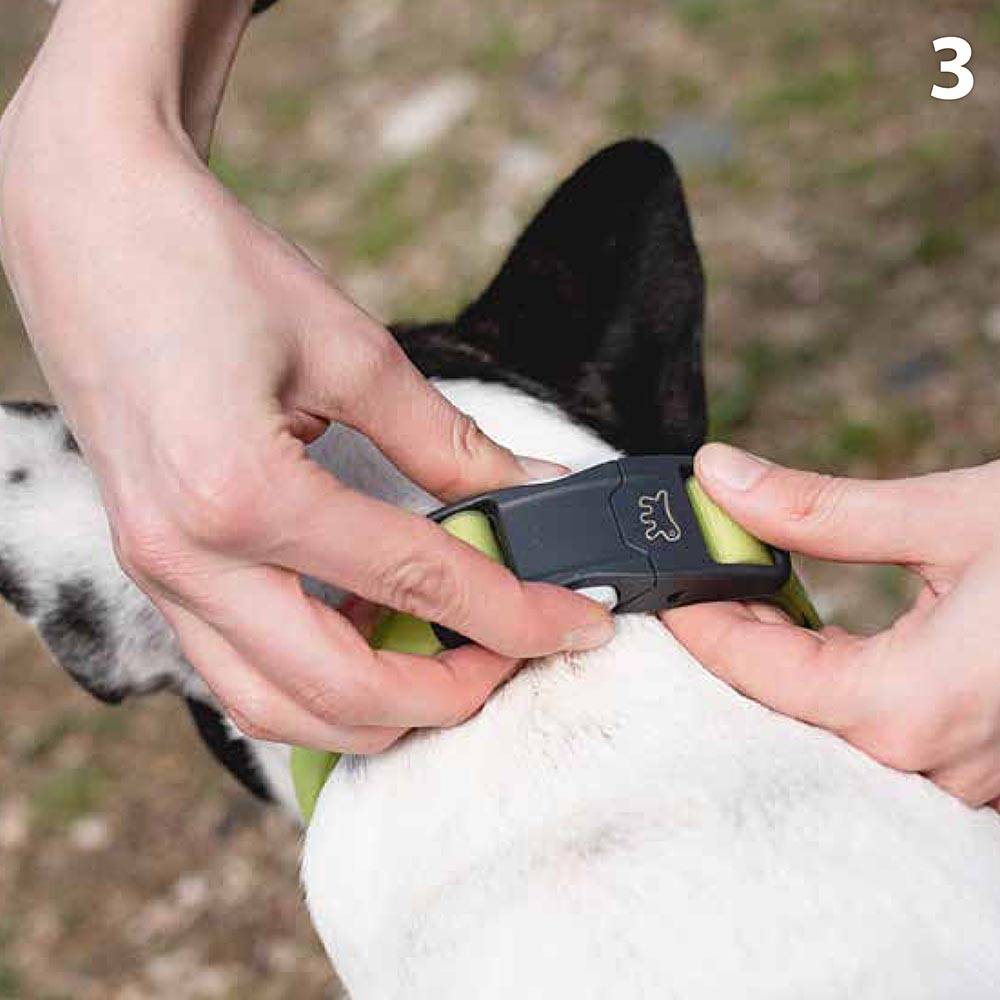 Ferplast - Collier pour Chiens EVOLUTION C25/70 avec Boucle Magnétique, Hypoallergénique, Lavable, Vert - Image 5