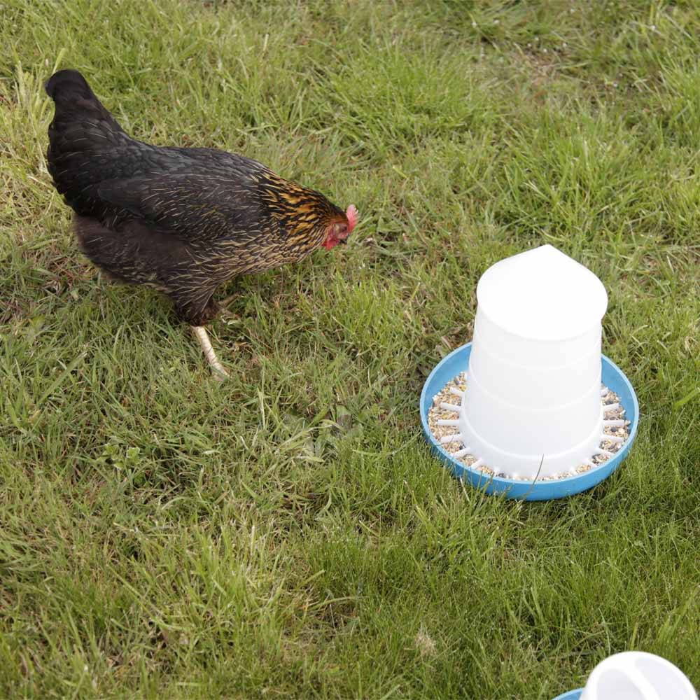Chick'a - Nourrisseur Mountain conique bleu 3 kg - Image 5