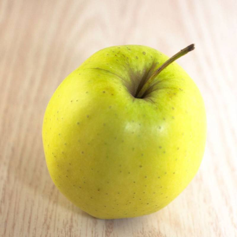Pommier Golden Delicious - Bon rendement - Pot de 15L - Palmette verrier - 150/175 cm - De 3,00 m à 5,00 m - Image 7