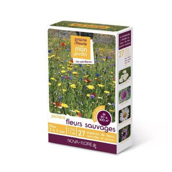 Novaflore - Jachère fleurs sauvages 50 à 100 m2