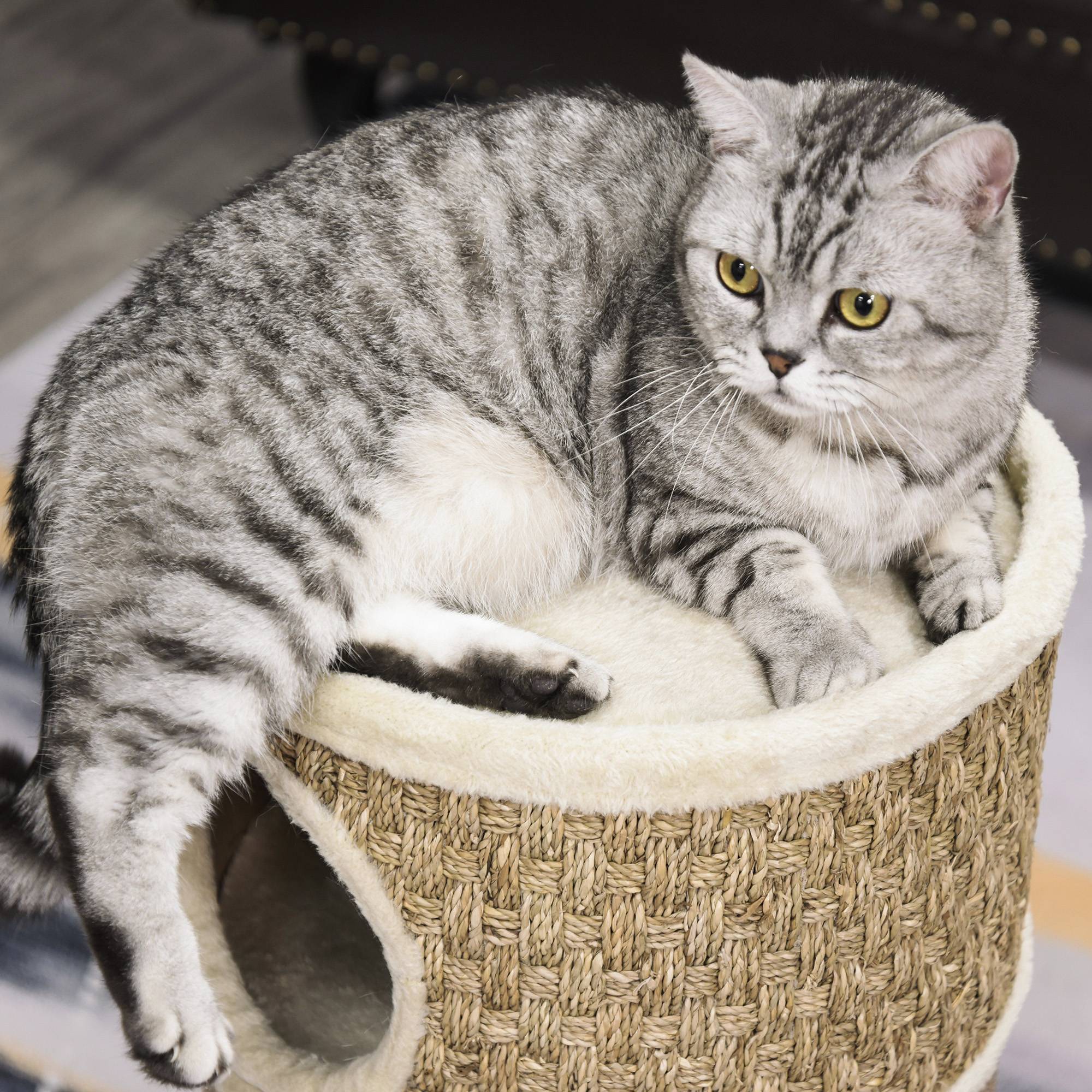Sans Marque - Tonneau 70 cm, Ø37,5 cm, 3 étages sisal, cabane peluche, grand chat, Kaki+Café - Image 10