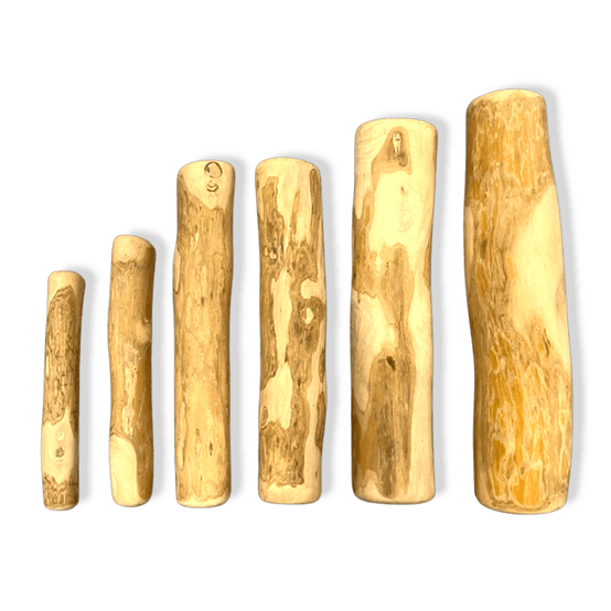 Bois de Café pour Chien XXL 22 cm ±250g - Image 3