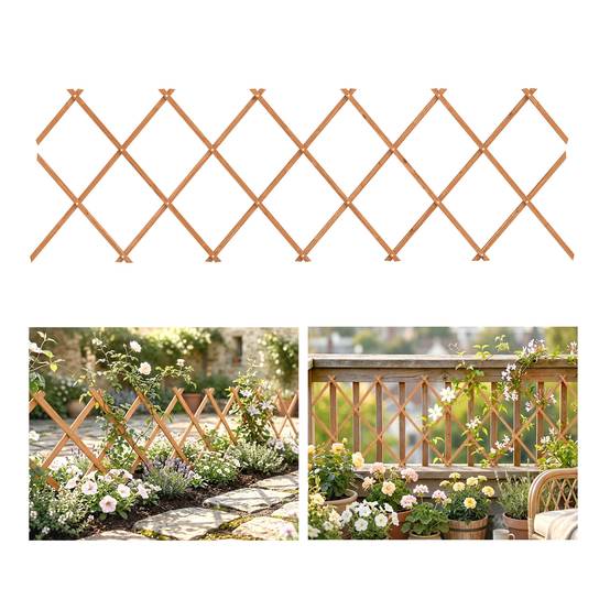 Sans Marque - Support extensible plantes grimpantes rosiers vigne jardin clos bois 180x60 cm marron transparent - Image 1