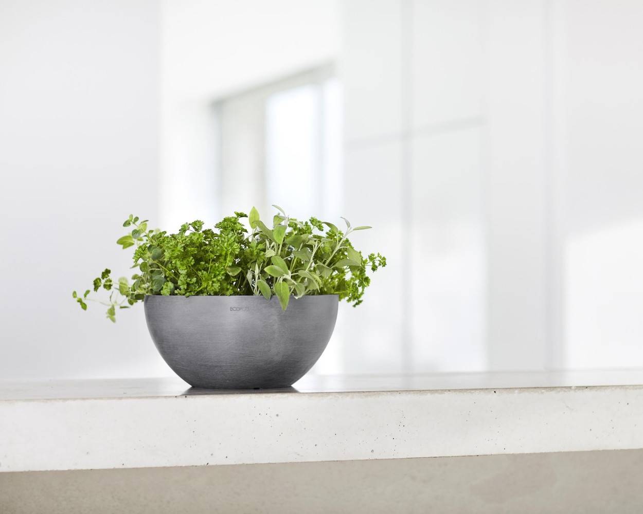 Ecopots - Pot Rond Brussels 25 Gris - Ø 25 x H. 12 cm - 3,6 L ECOPOTS - Image 5