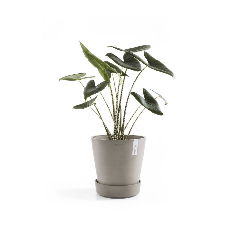 Ecopots - Support à roulettes Wheels 40 Taupe - Ø 34,1 x H. 9 cm ECOPOTS - Image 3