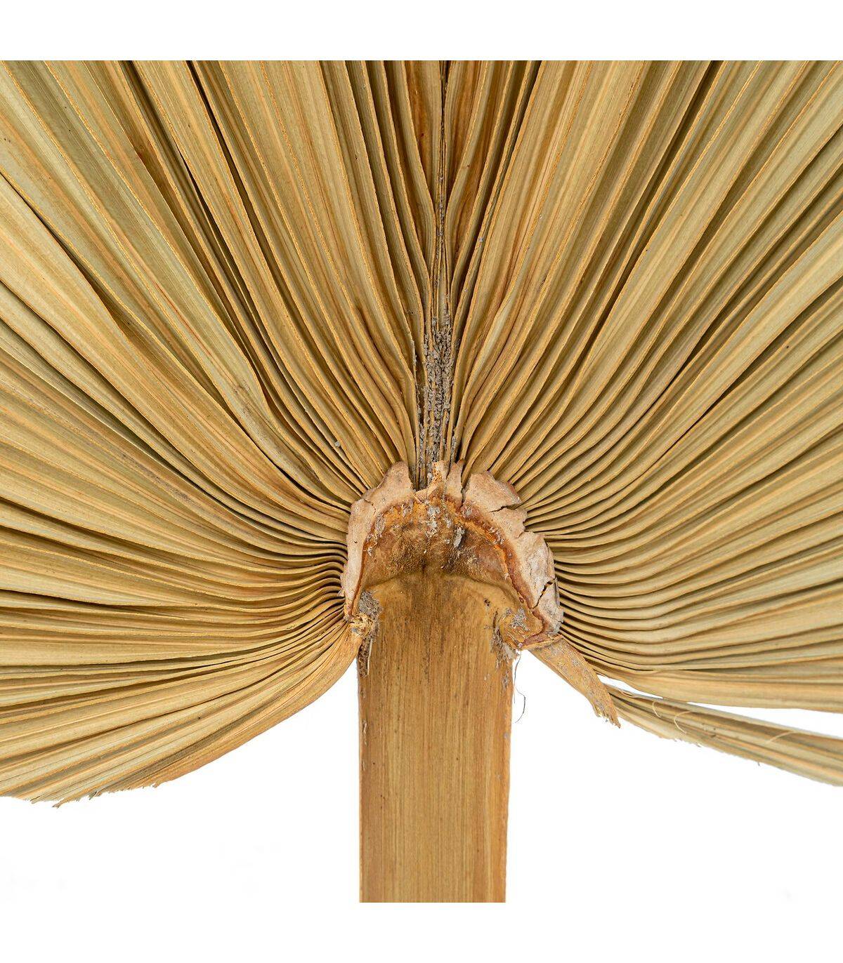 Atmosphera - Set de 3 Tiges de Palmier séchées H 70 cm - Image 3