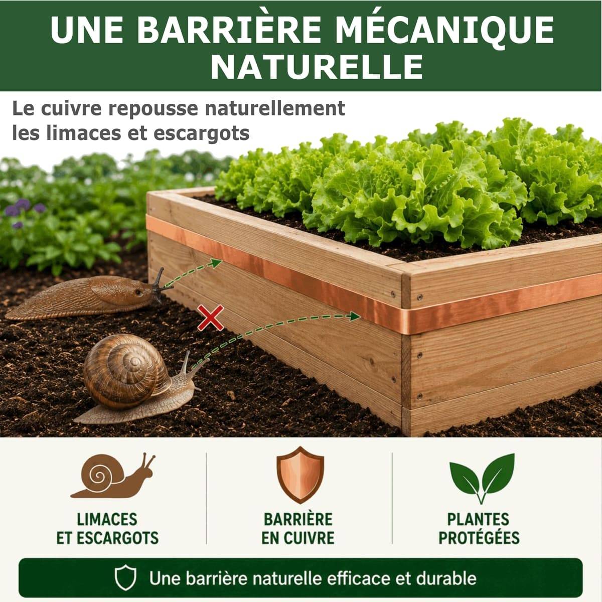 Tout pour les nuisibles - 20 Rubans de Cuivre Anti-Limaces et Escargots SOLU'LIMACES – Barrière Physique Adhésive pour Potager, Jardinières, Pots et Bacs de Culture -4mx3cm - Image 3