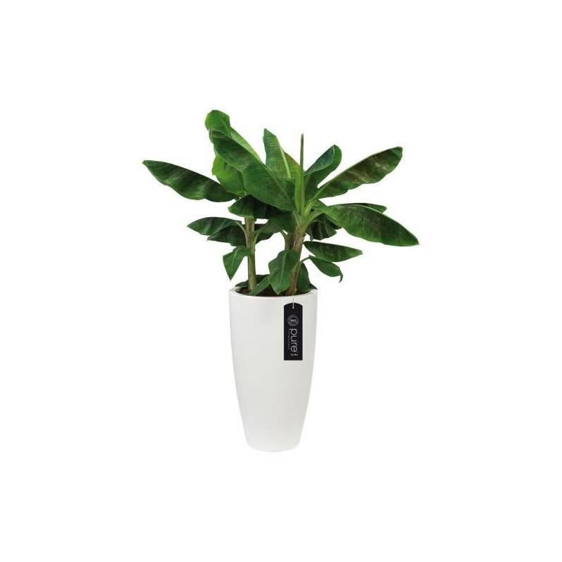 Elho - Pure Soft Round High 35 Blanc - Image 2