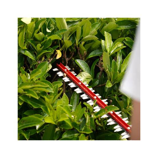 Greenworks - Taille-haies 61cm 40V GREENWORKS - Sans batterie ni chargeur - G40HT61 - Image 6