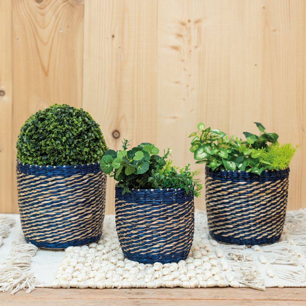 Aubry Gaspard - Cache-pots en jonc naturel et bleu (lot de 3) - Image 2