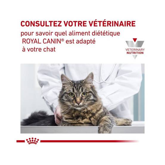 Royal Canin - Croquettes chat VETERINARY CAT SKIN COAT - Royal Canin 3,5 kg - Image 8