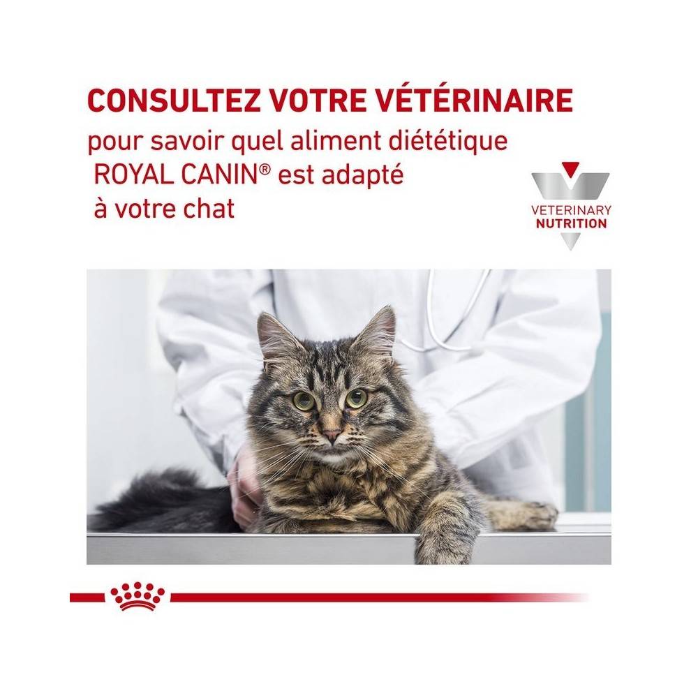 Royal Canin - Croquettes chat VETERINARY CAT SKIN COAT - Royal Canin 3,5 kg - Image 8