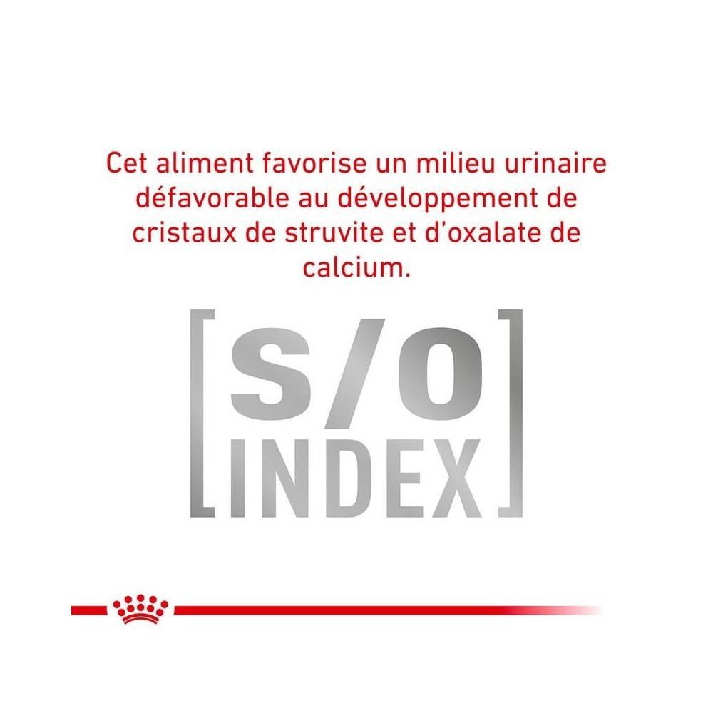 Royal Canin - Croquettes chat VETERINARY CAT SKIN COAT - Royal Canin 3,5 kg - Image 9