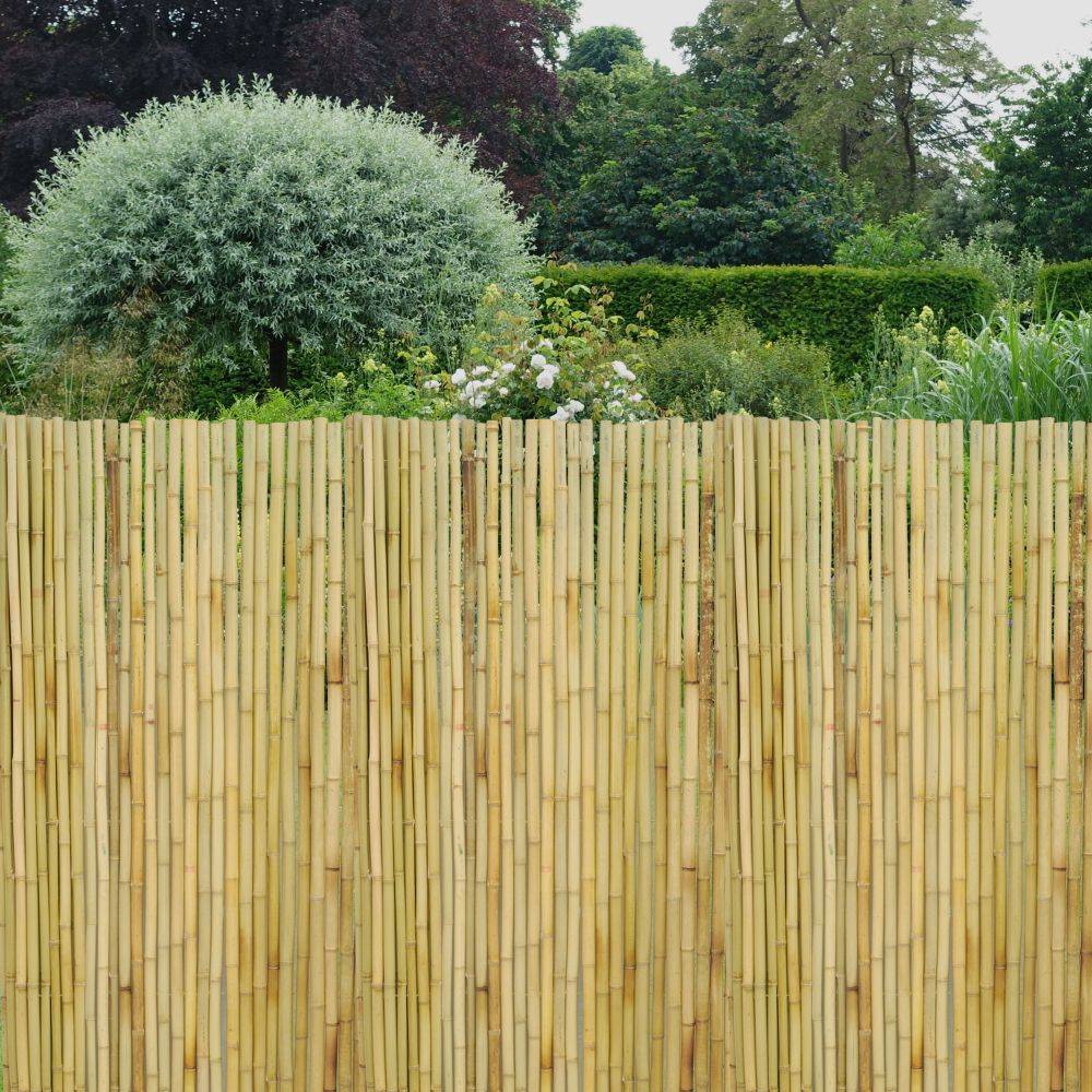 Jardindeco - Canisse en bambou Lot de 5 - Image 2