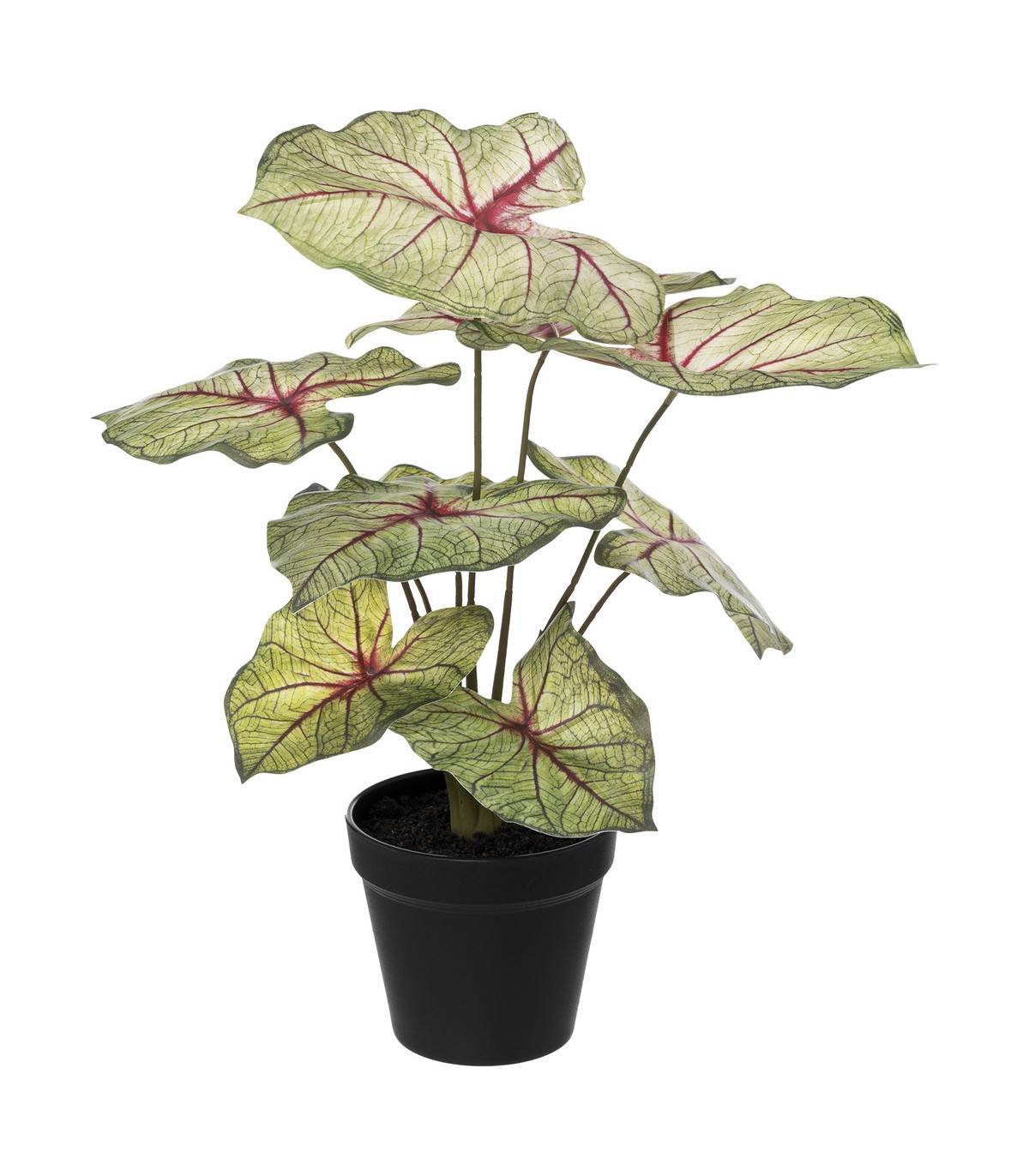 Plante artificielle Caladium en pot D. 34 x H. 41 cm - Image 1