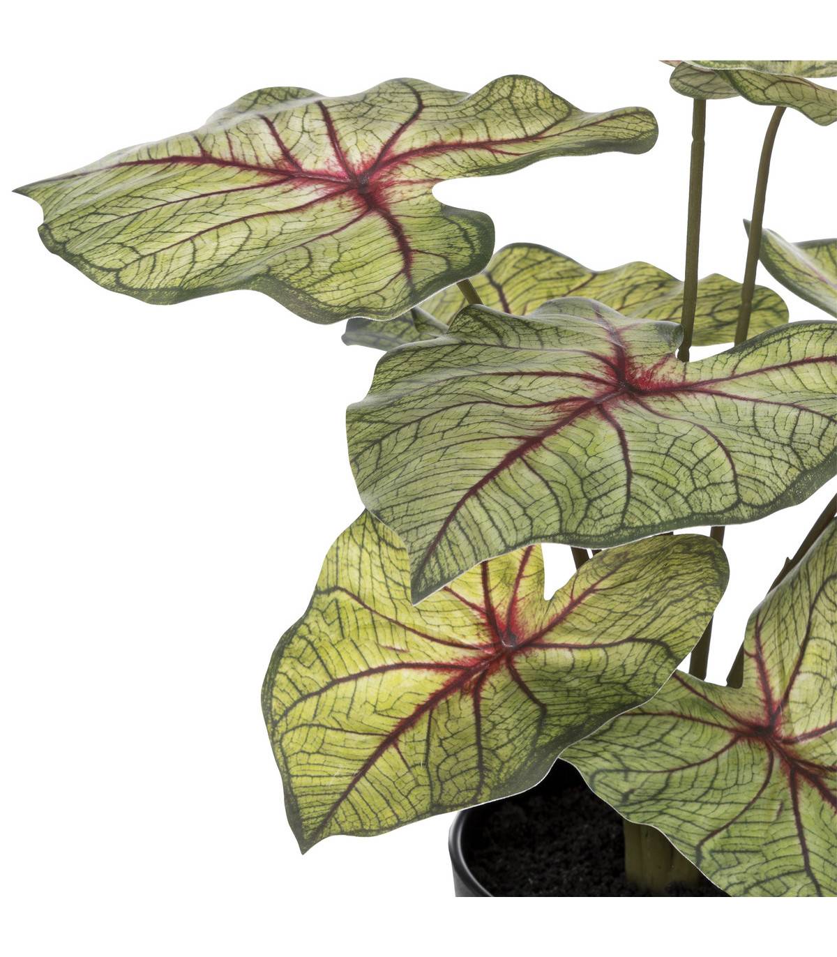 Plante artificielle Caladium en pot D. 34 x H. 41 cm - Image 2