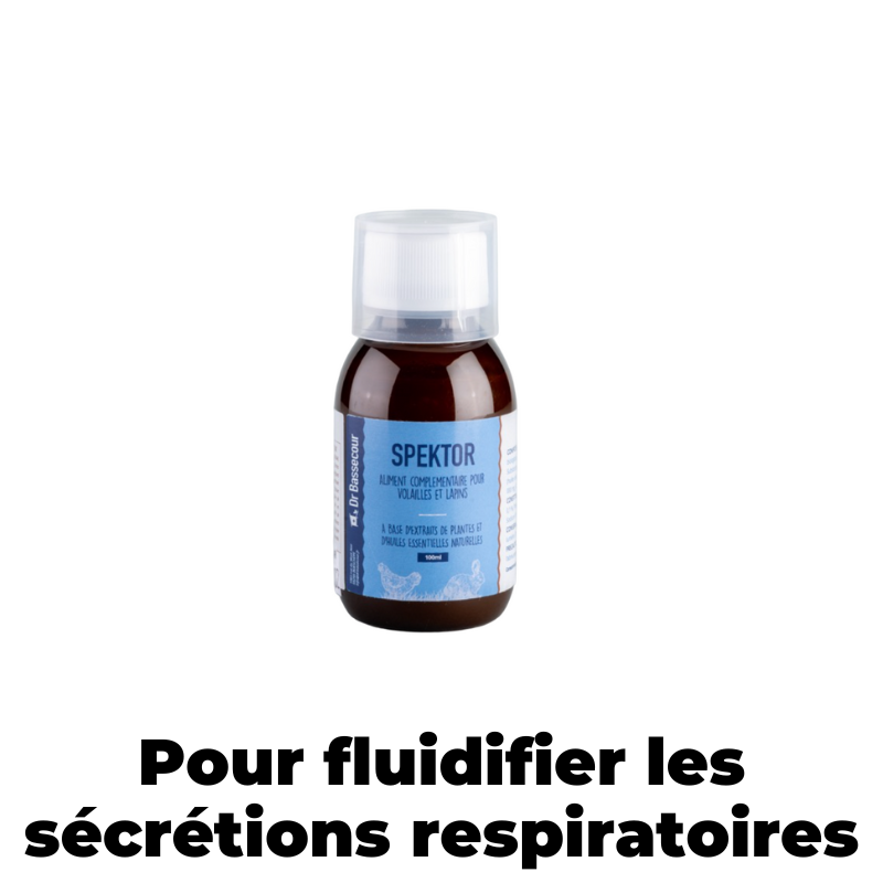 Spektor pour fluidifier la respiration - Cot Cot House