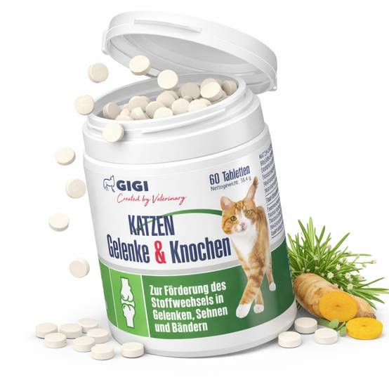 Soutien Articulaire Chats 60 comprimés GIGI VET - Image 1