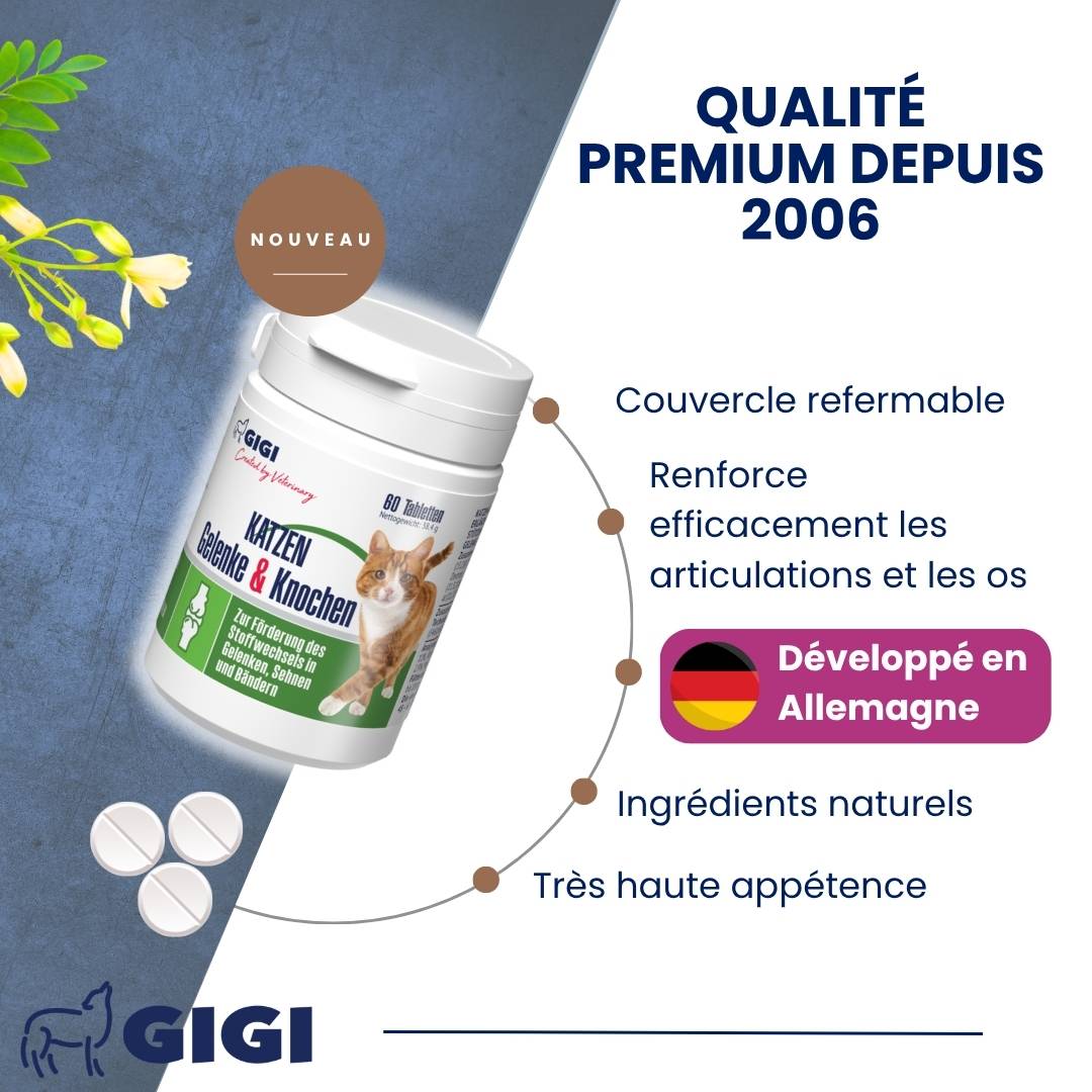 Soutien Articulaire Chats 60 comprimés GIGI VET - Image 3