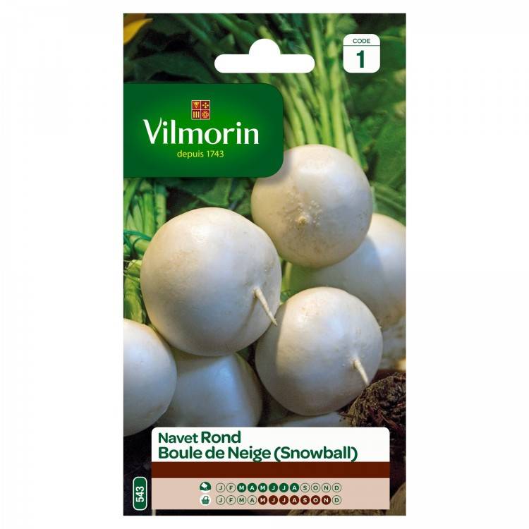 Vilmorin - Sachet graines Navet rond Boule de Neige ( Snowball ) - Image 2