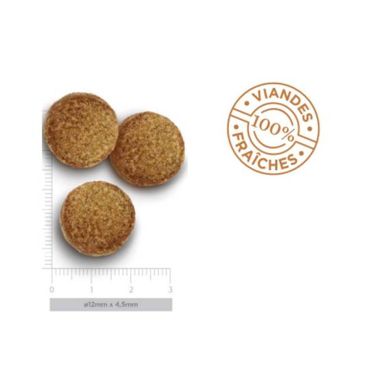Croquettes Chien Grande Race Poulet Amanova 12 kg - Image 3
