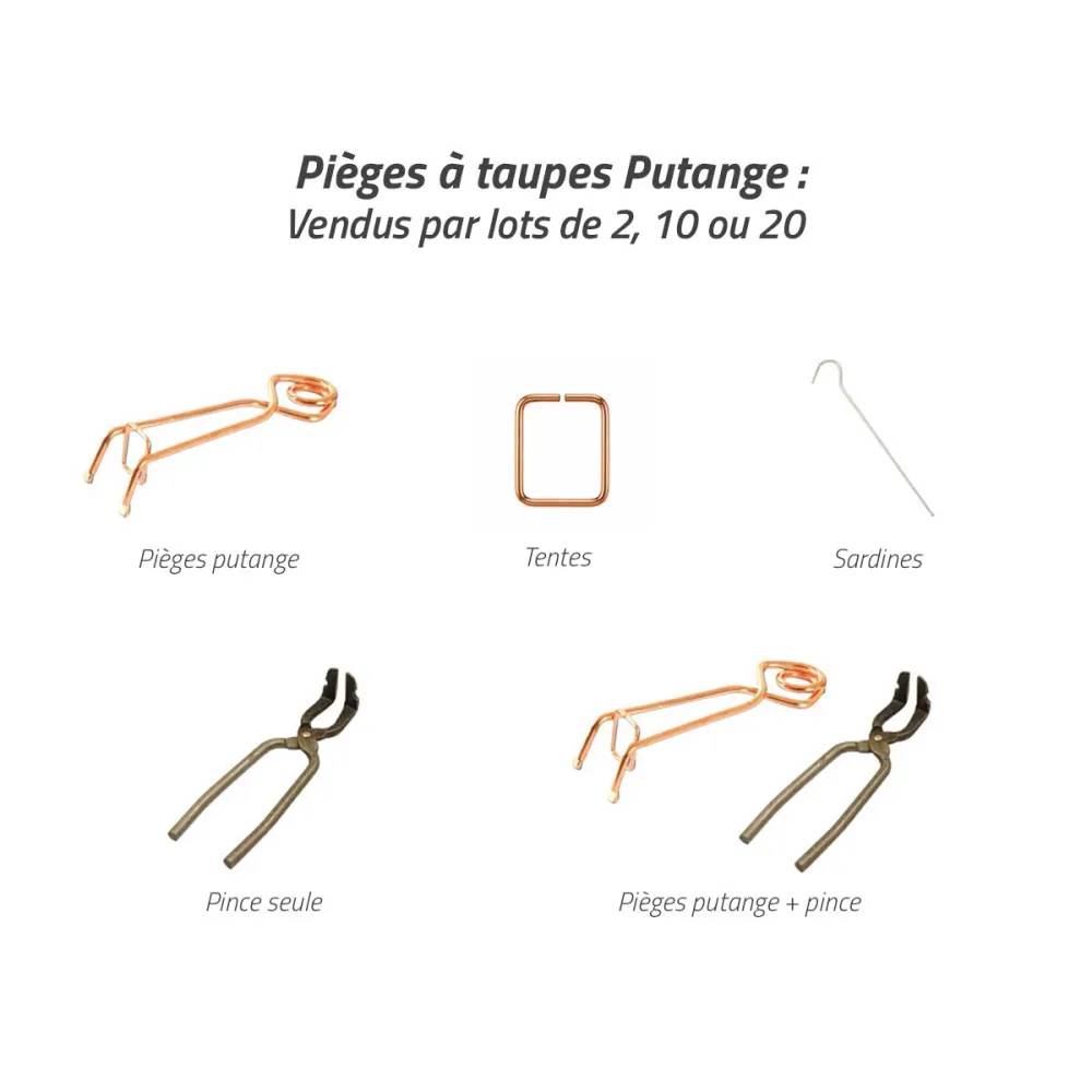 Lot de 10 sardines pour pièges Putange et pièges à taupe - Image 4