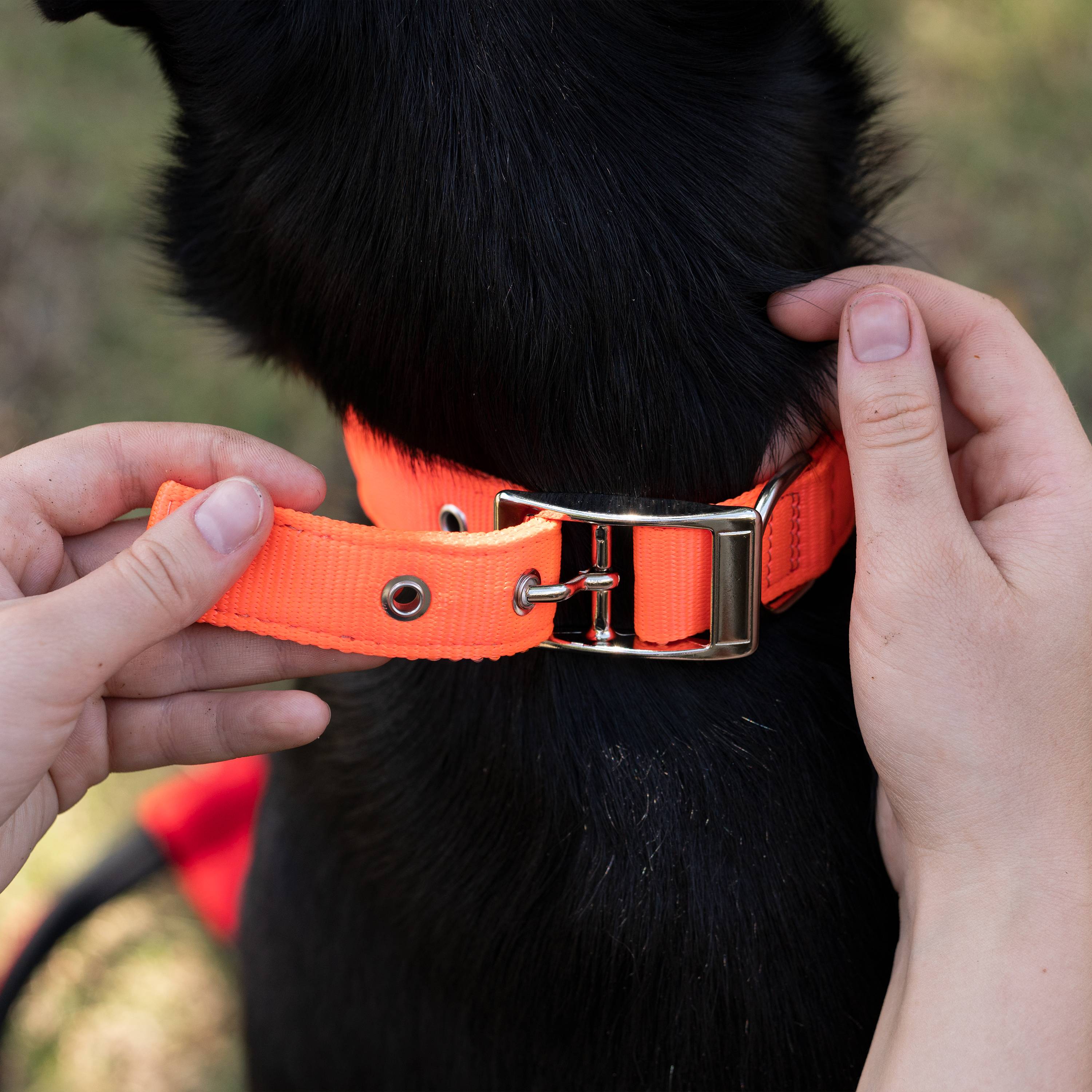 Ferplast - Collier chien chiens nylon souple rembourrage FERPLAST DAYTONA différentes tailles et couleurs - Image 4