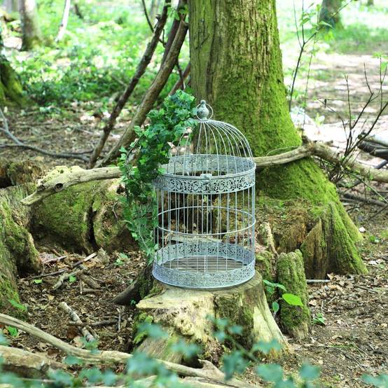 Cage à oiseaux décorative ancienne métal gris Ø.36x60cm Chemin de campagne - Image 3