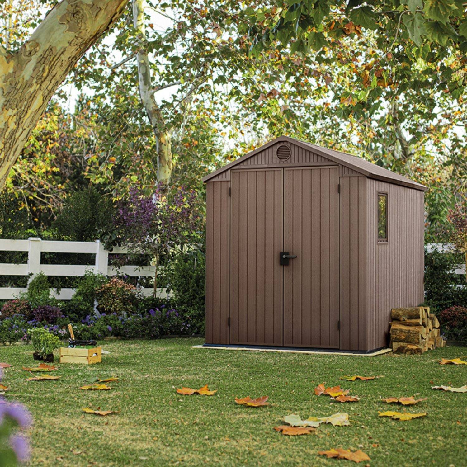 Keter - Abri de jardin DARWIN 6x6 Marron - Image 2
