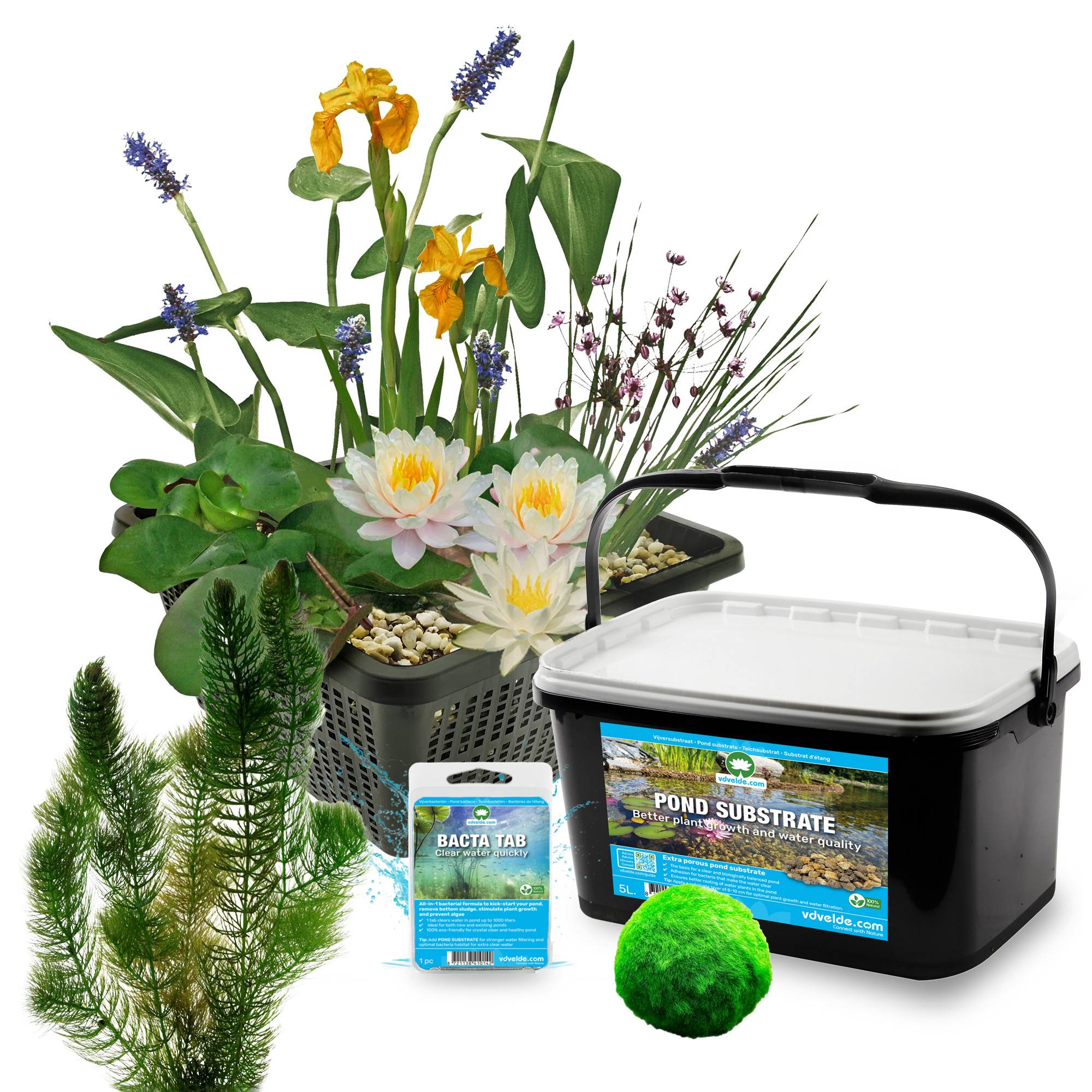 0 - Mini Bassin Set Complet Blanc 25-90L - 11 Plantes et Bactéries - Image 3