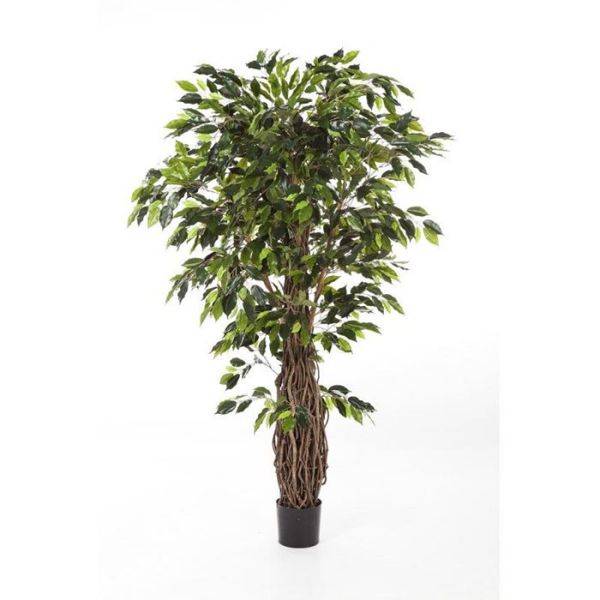 Ficus Lianes Exotica de luxe factice Vert H180cm 2145 feuilles en pot - dimhaut: H 180 cm - couleur: Vert