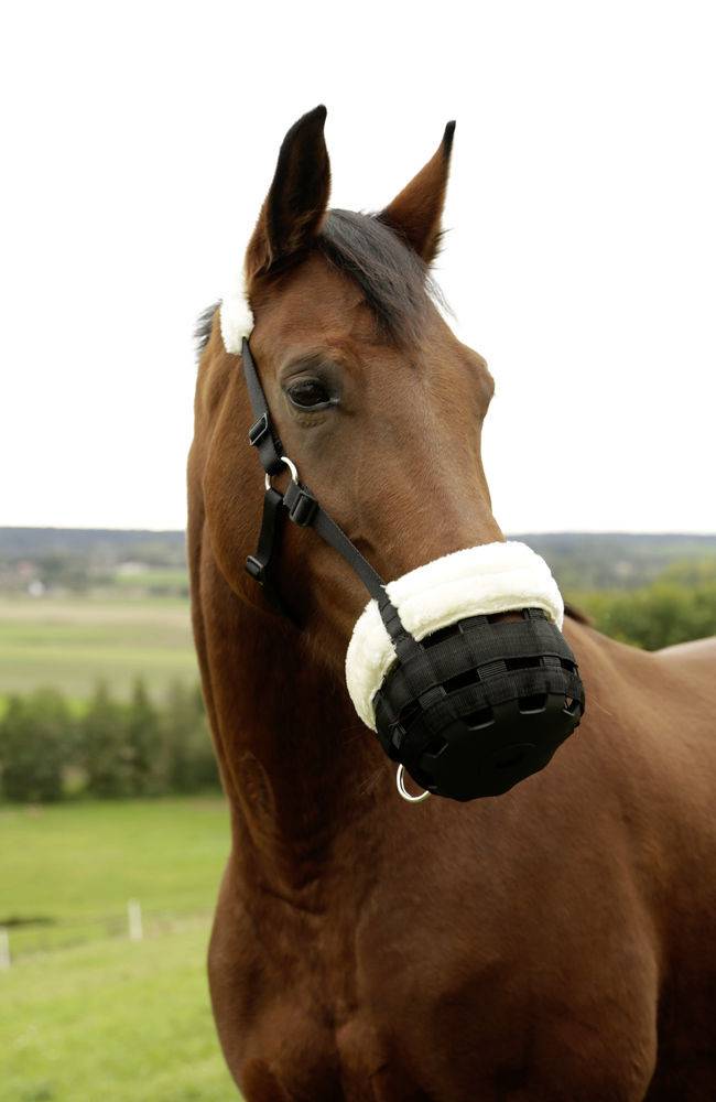 Muselière panier confortable - Pour cheval - Taille COB Albert Kerbl GmbH - Image 1