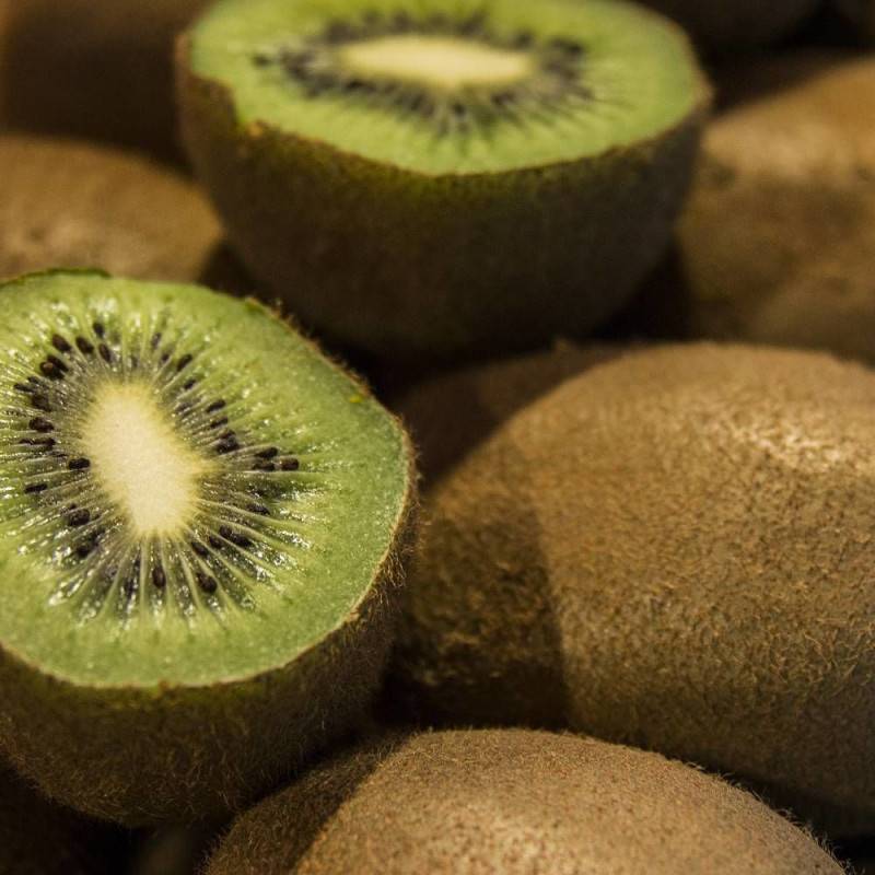 Kiwi Hayward (Femelle) à fleurs Blanche - feuillage Caduc - Godet - 5/20 cm-  hauteur à maturité De 3,00 m à 5,00 m - Image 9