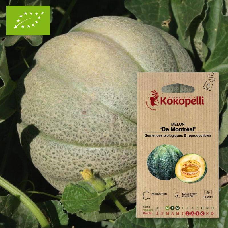 Graines bio à semer - Melon De Montréal- Association Kokopelli