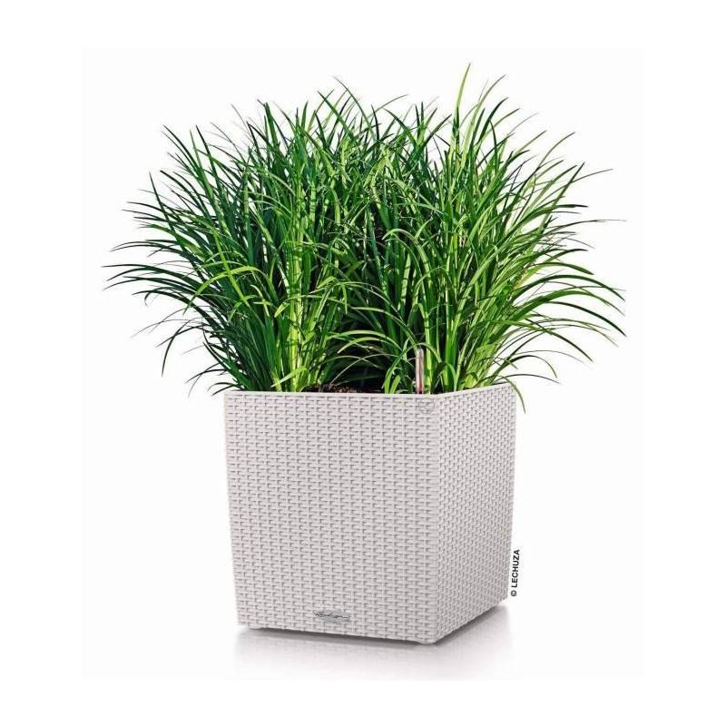 Lechuza - Pot De Fleur Lechuza Cube Cottage 50 - Kit Complet, Gris Clair - Image 2