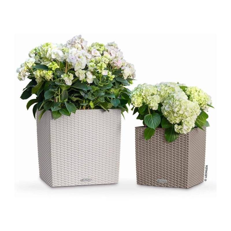 Lechuza - Pot De Fleur Lechuza Cube Cottage 50 - Kit Complet, Gris Clair - Image 3