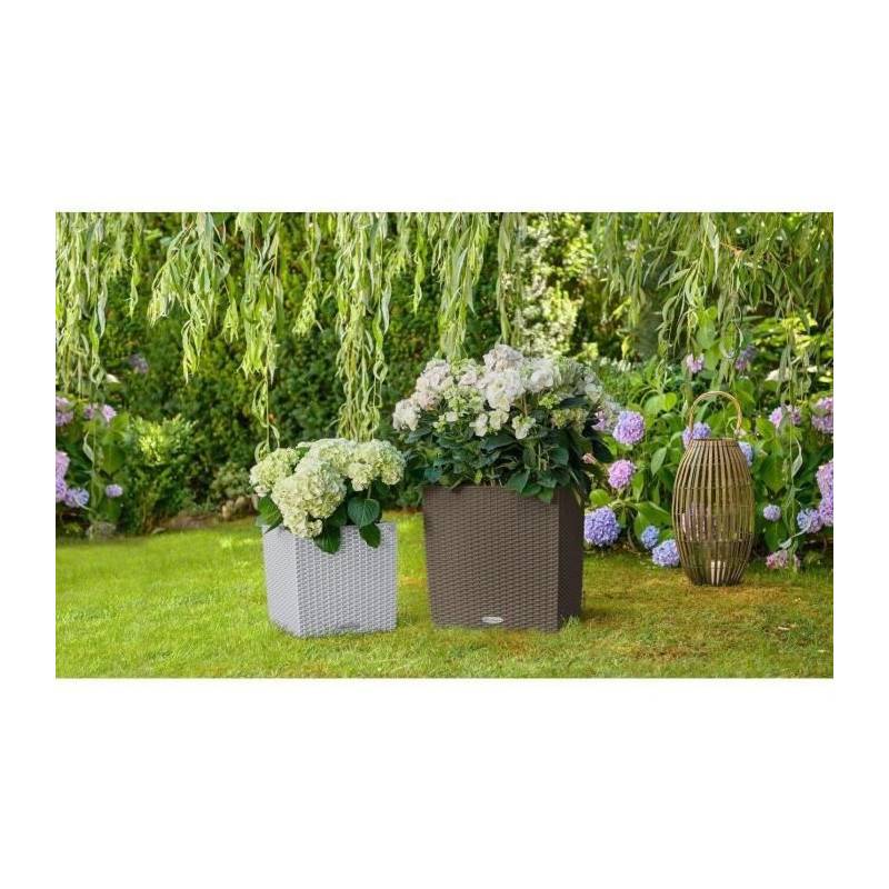 Lechuza - Pot De Fleur Lechuza Cube Cottage 50 - Kit Complet, Gris Clair - Image 5