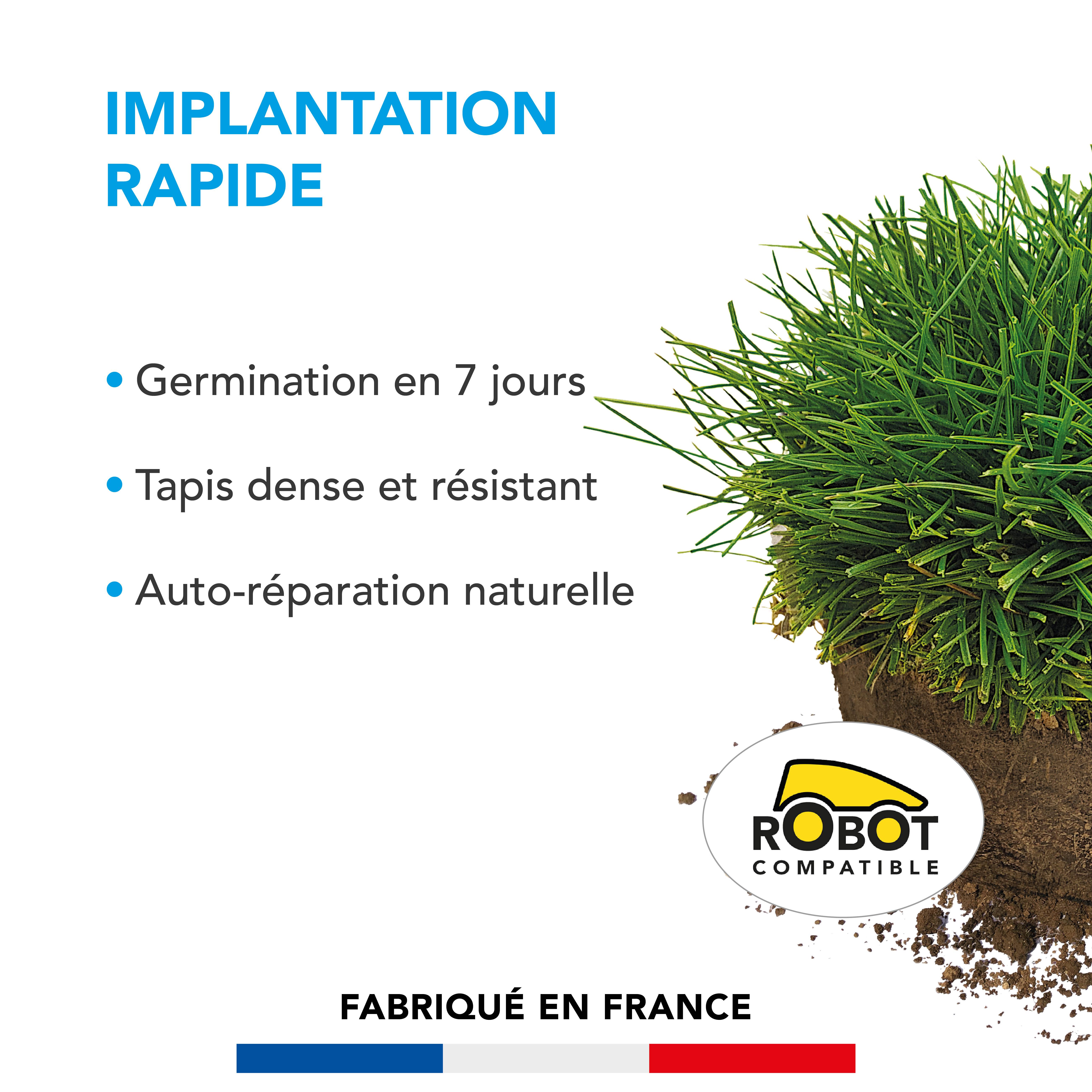 Gazon Implantation Rapide - Germination en 7 Jours - Tapis Dense et Résistant - Autoréparation Naturelle - 15KG - BARENBRUG - Image 2
