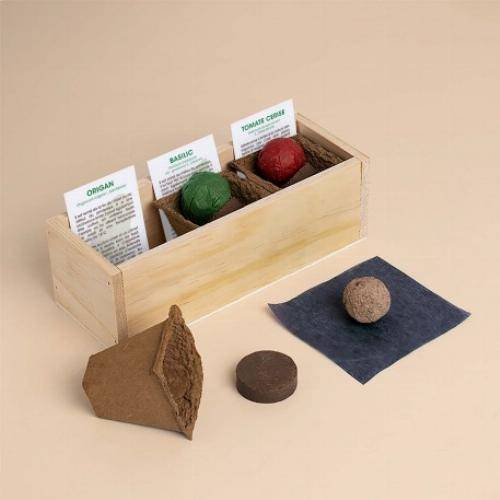 Kit culinaire d'auto culture - Provençal - Image 5