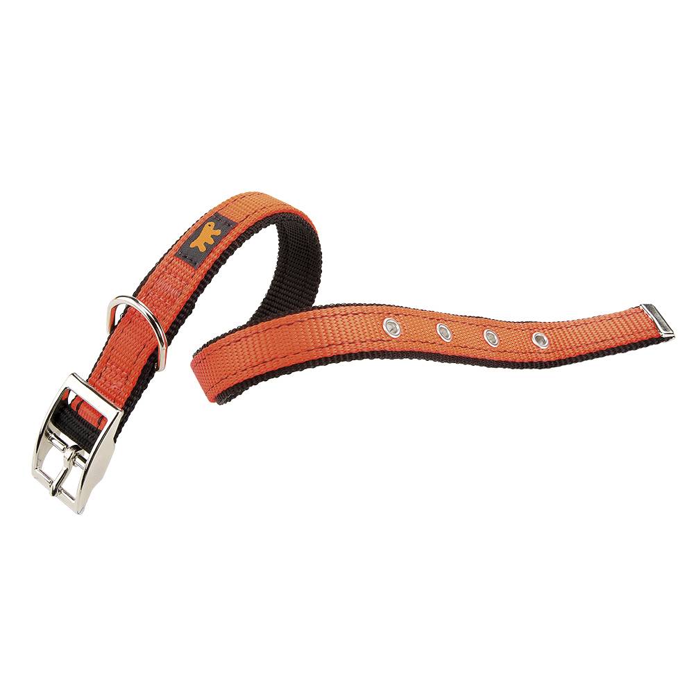 Ferplast - DUAL CF25/45 COLOURS  Collier chien A: 37÷45 cm - B: 25 mm Orange - Image 1