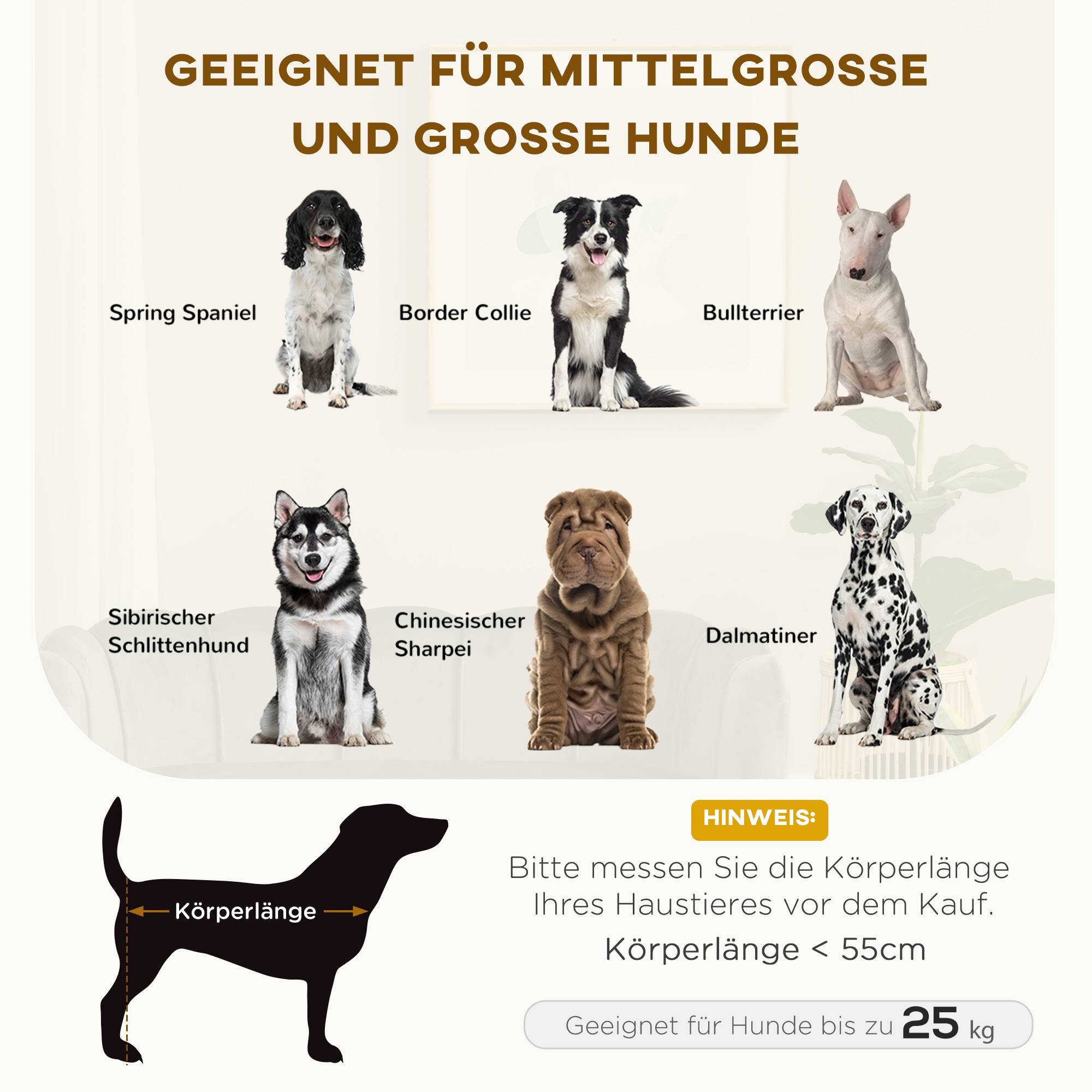 ComfortXL - Canapé pour chien en polyester 98,5 x 60,5 x 35,5 cm gris foncé pour chien jusqu’à 25 kg avec dossier - Image 4