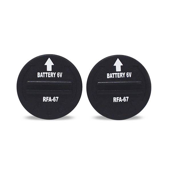 PACK DE 2 PILES 6 VOLTS - Image 1